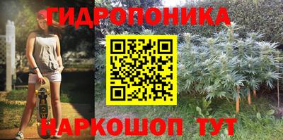 тгк Ачхой-Мартан