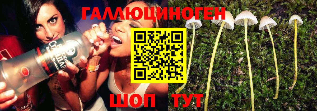 Выборг  Галлюциногенные грибы ЛСД  Вход с VPN 