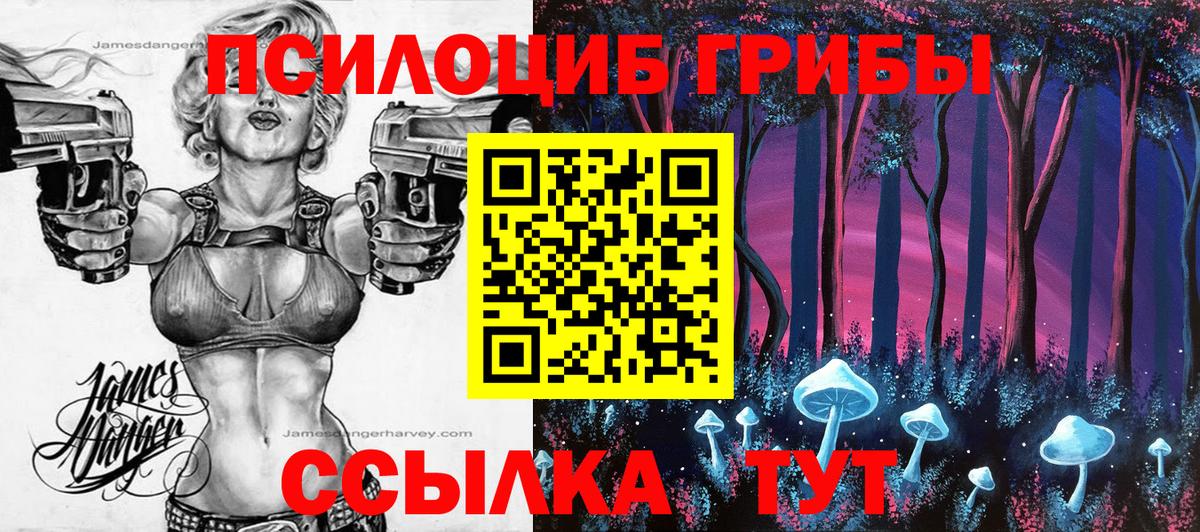 Галлюциногенные грибы Psilocybe Выборг